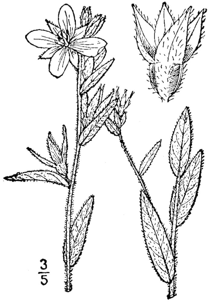 Figure 233a.