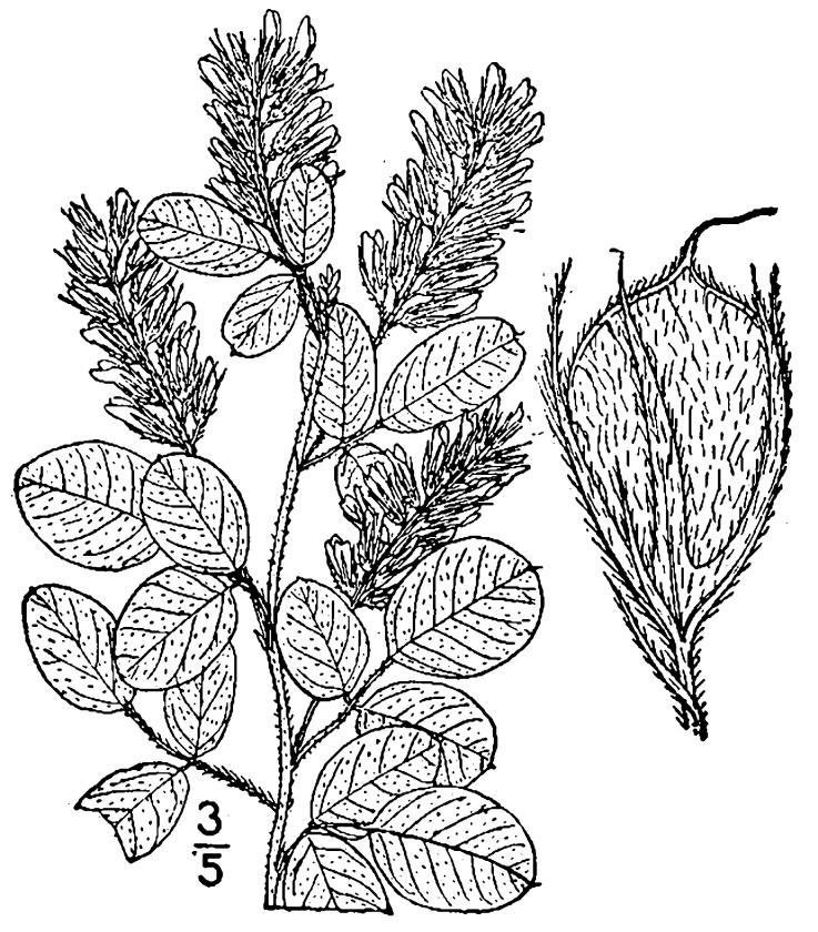 Figure 210e.