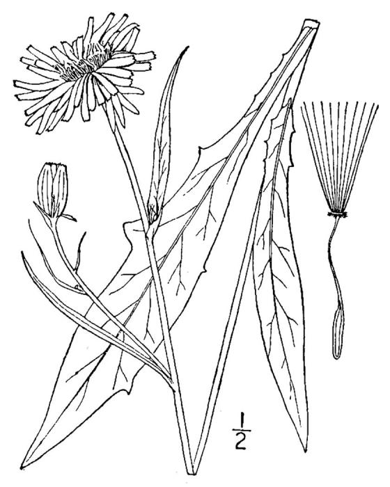 Figure 151.