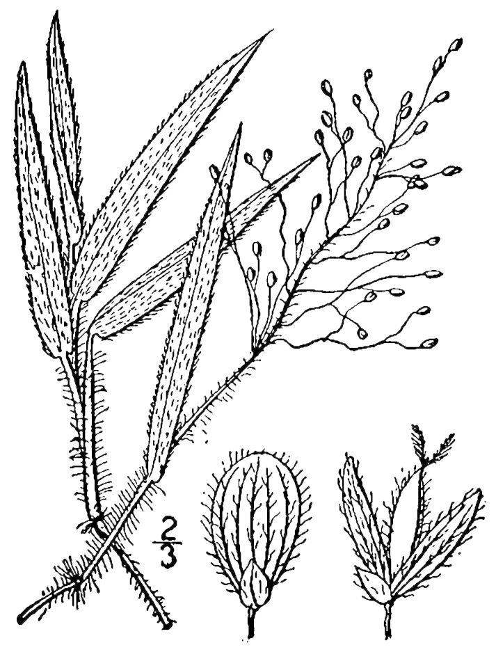 Figure 84a.