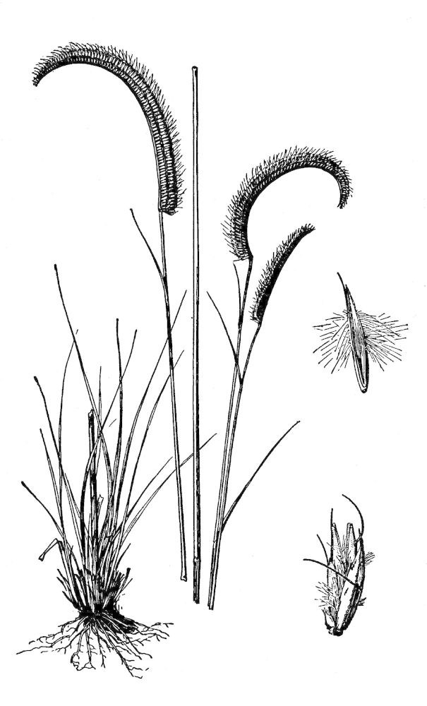 Figure 73a.
