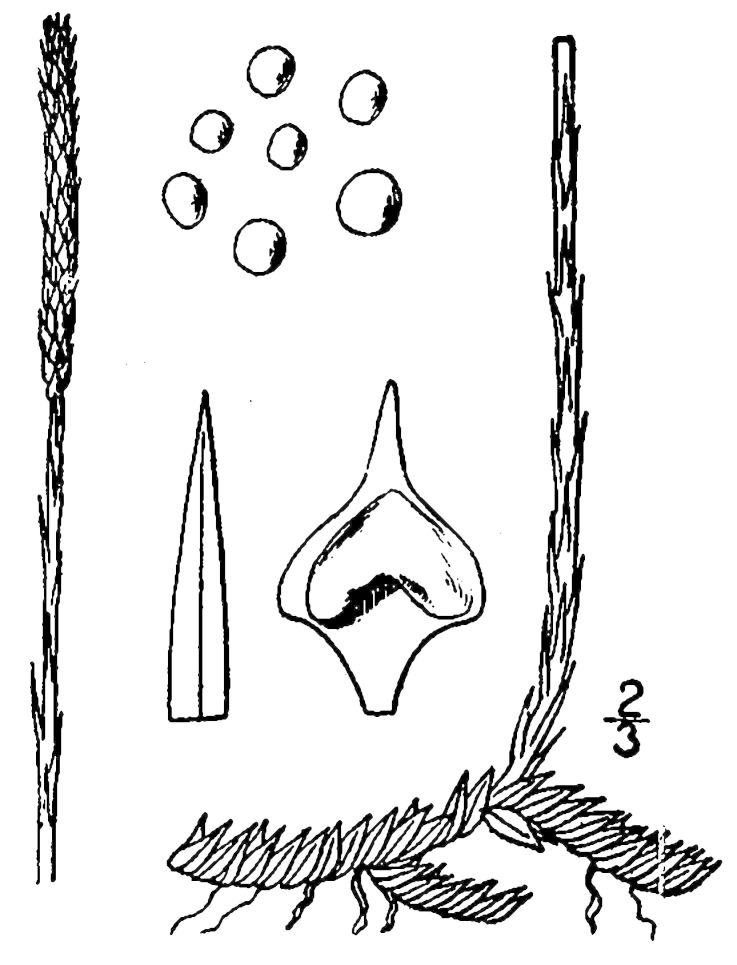 Figure 16.