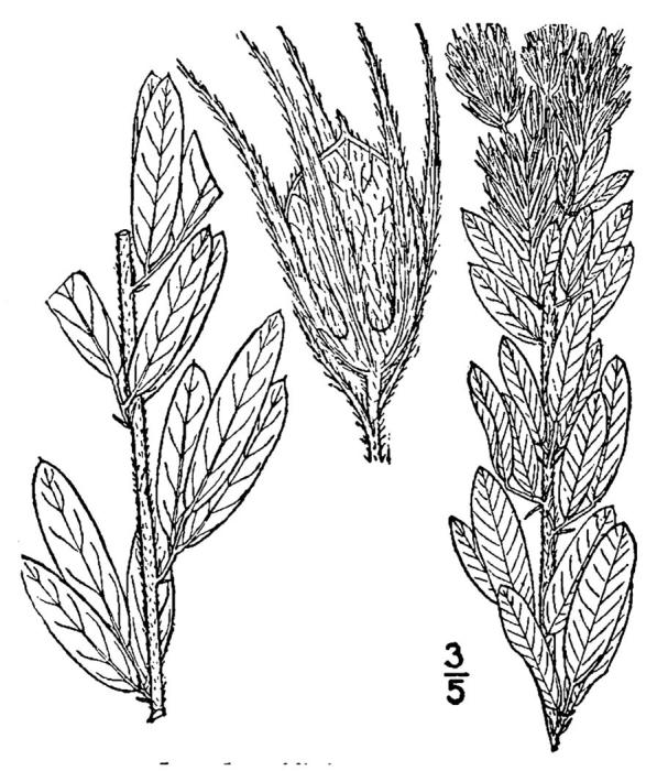 Figure 210b.