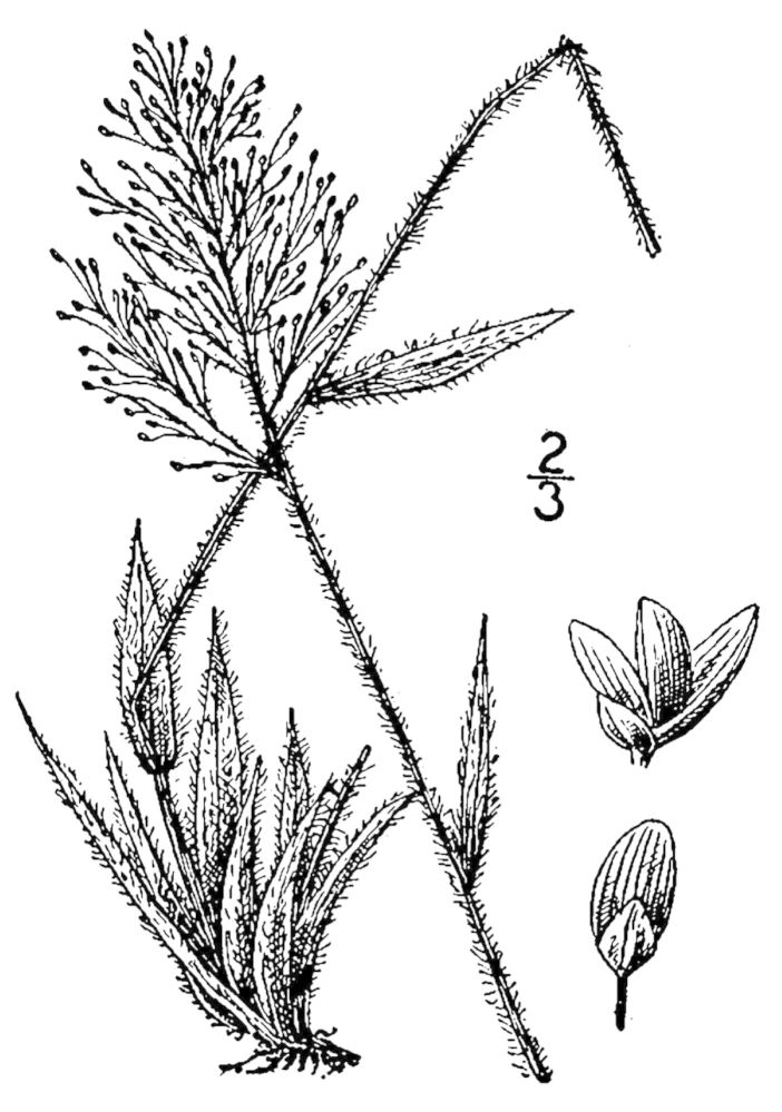 Figure 86d.