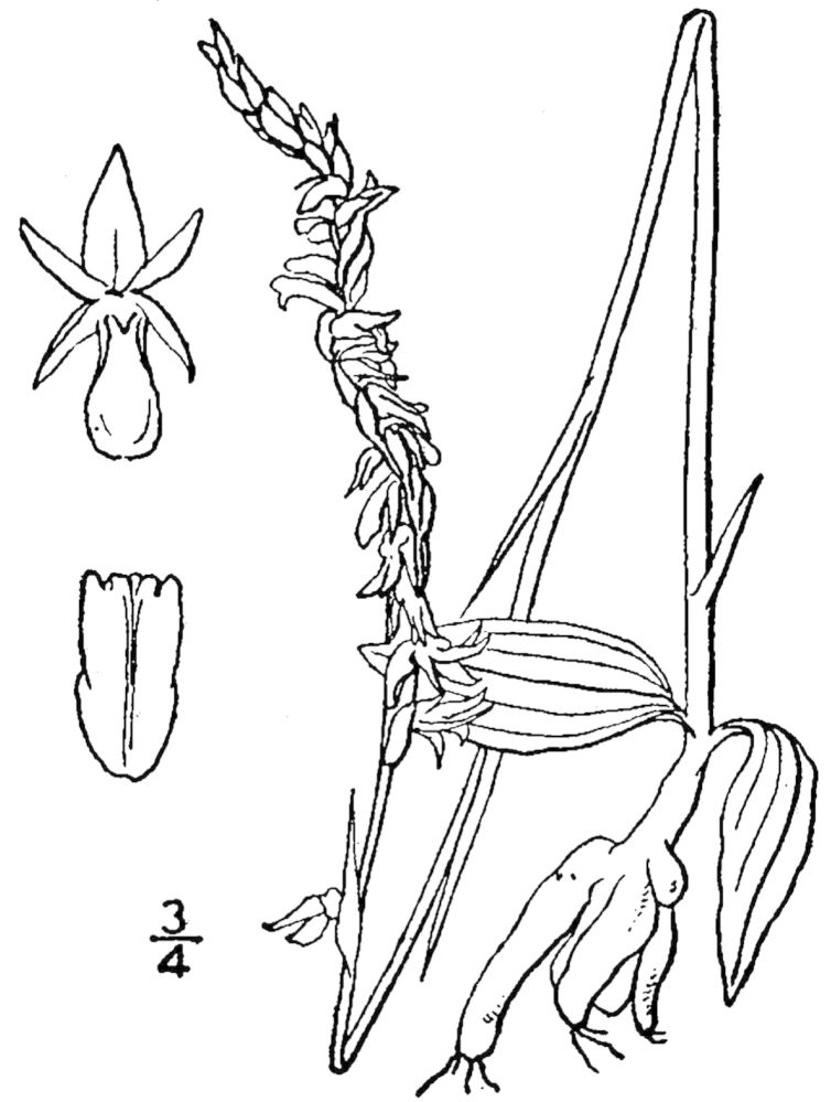 Figure 66a.