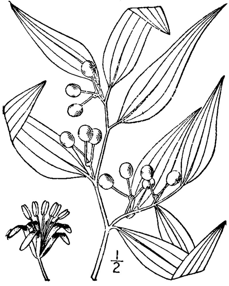 Figure 92e.
