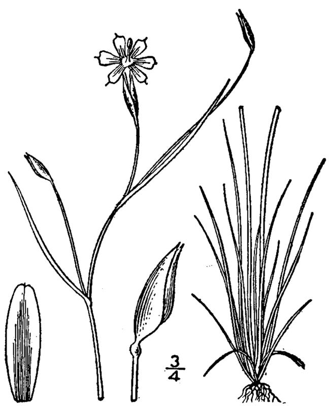 Figure 52d.