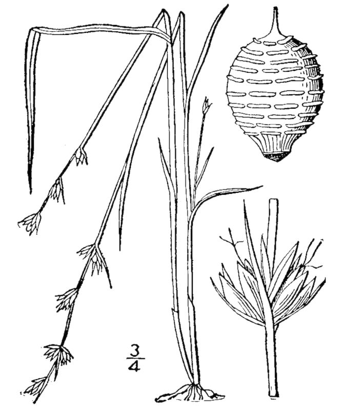Figure 46e.