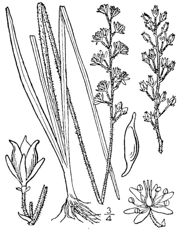 Figure 95a.