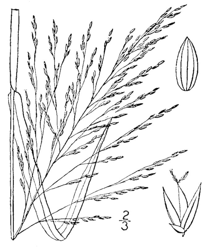 Figure 89a.