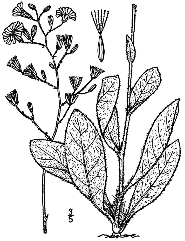Figure 150a.