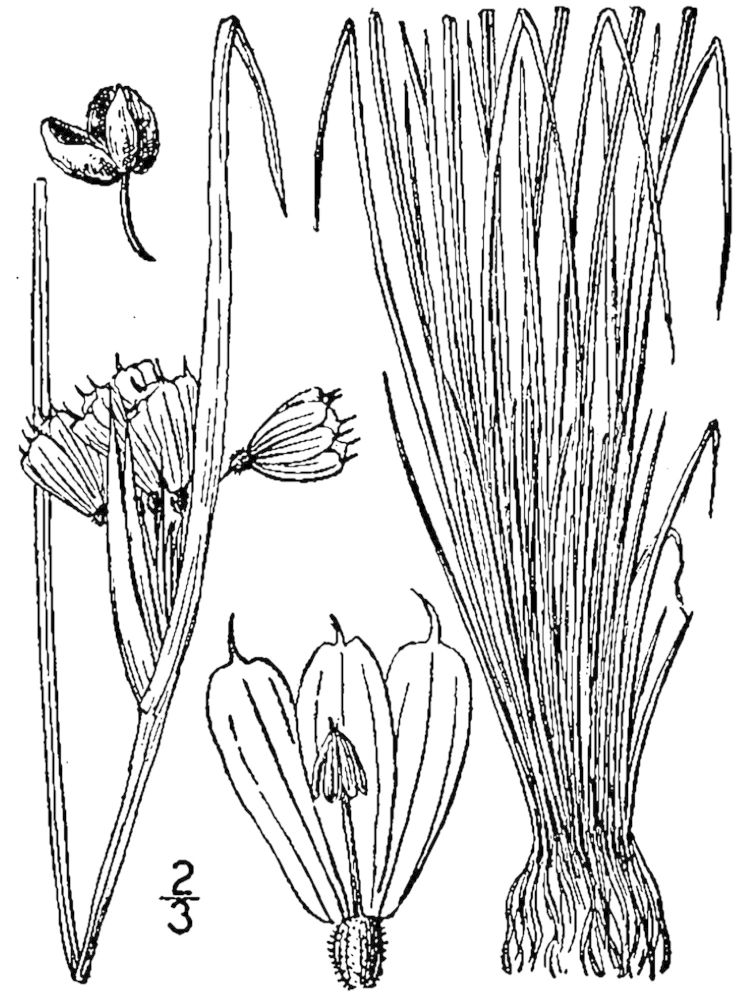Figure 52a.