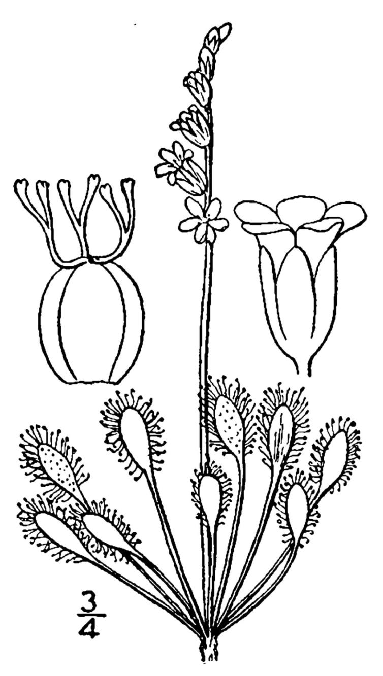 Figure 187b.