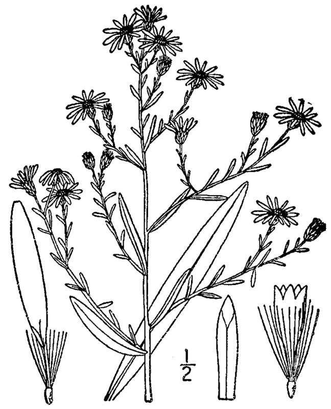 Figure 179a.