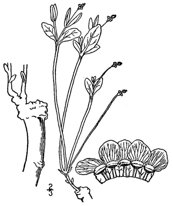 Figure 127a.