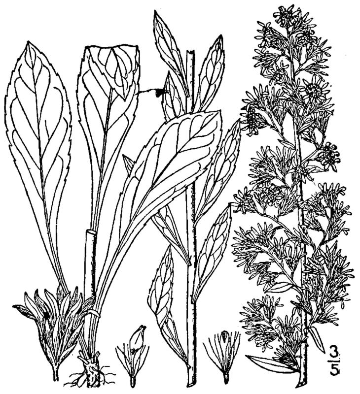 Figure 178d.
