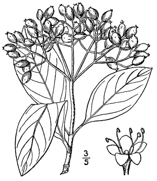 Figure 108.