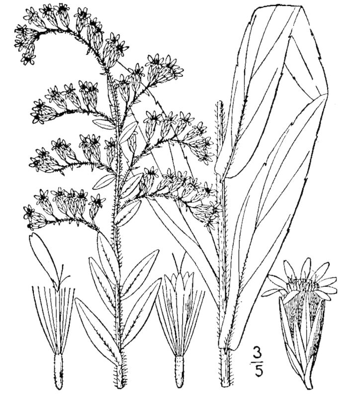Figure 178a.