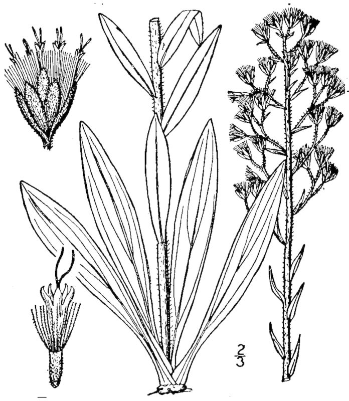 Figure 180b.
