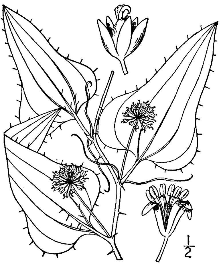Figure 92a.
