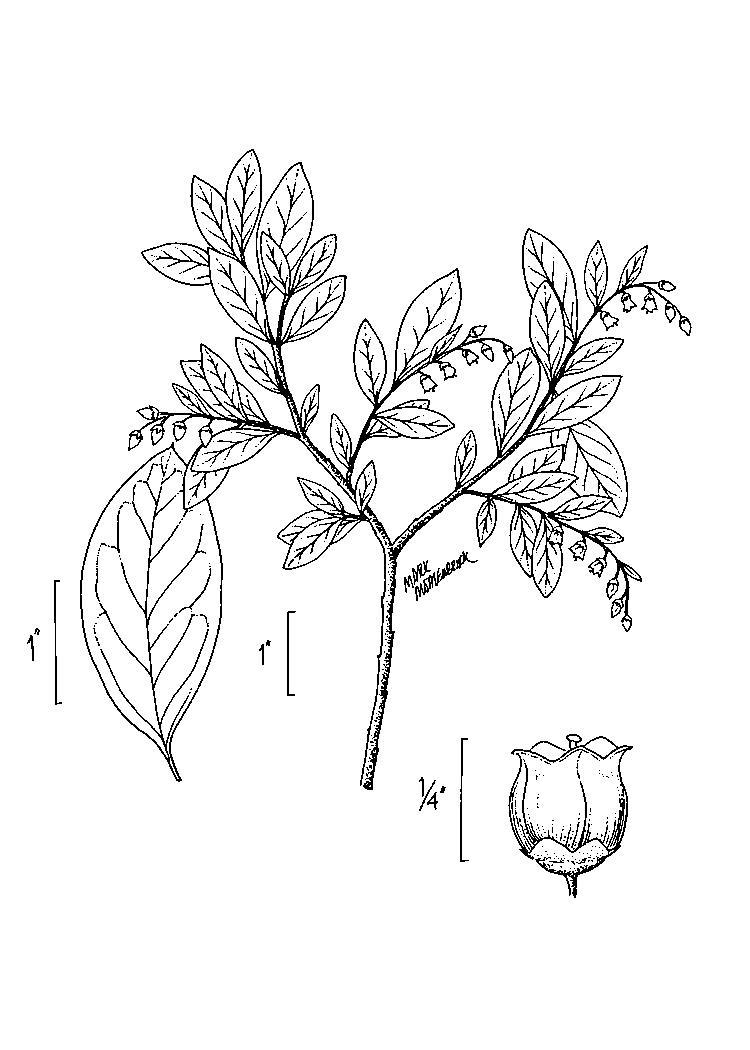 Figure 196a.