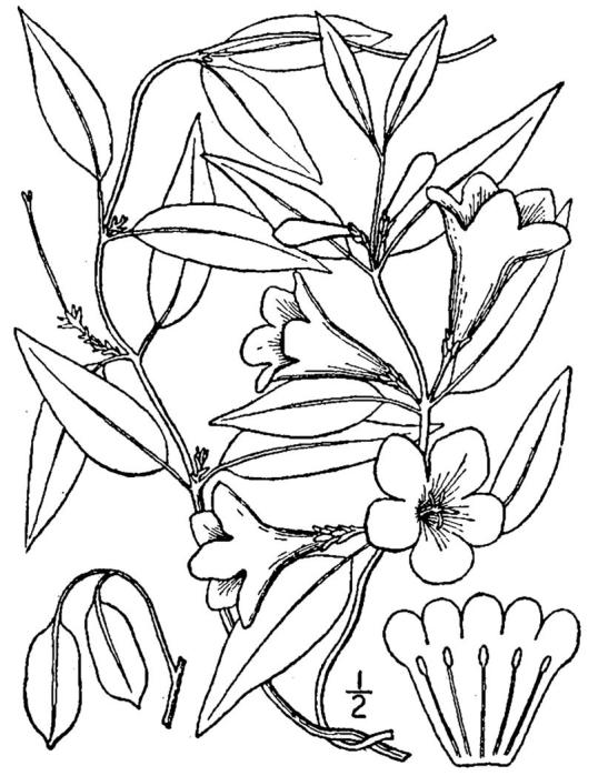 Figure 103.