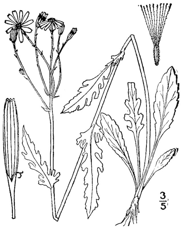 Figure 176.