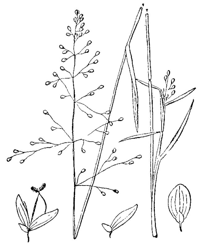Figure 84b.