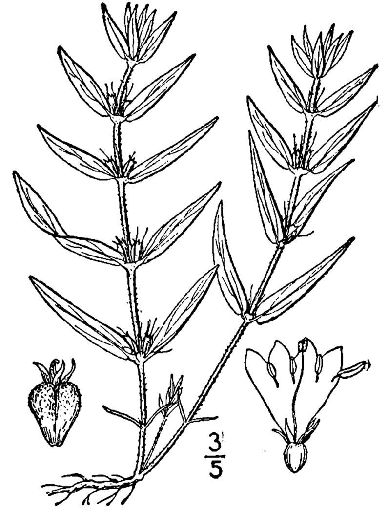 Figure 245a.