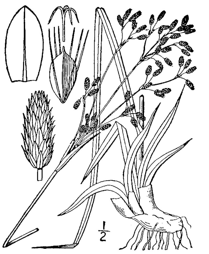 Figure 45b.