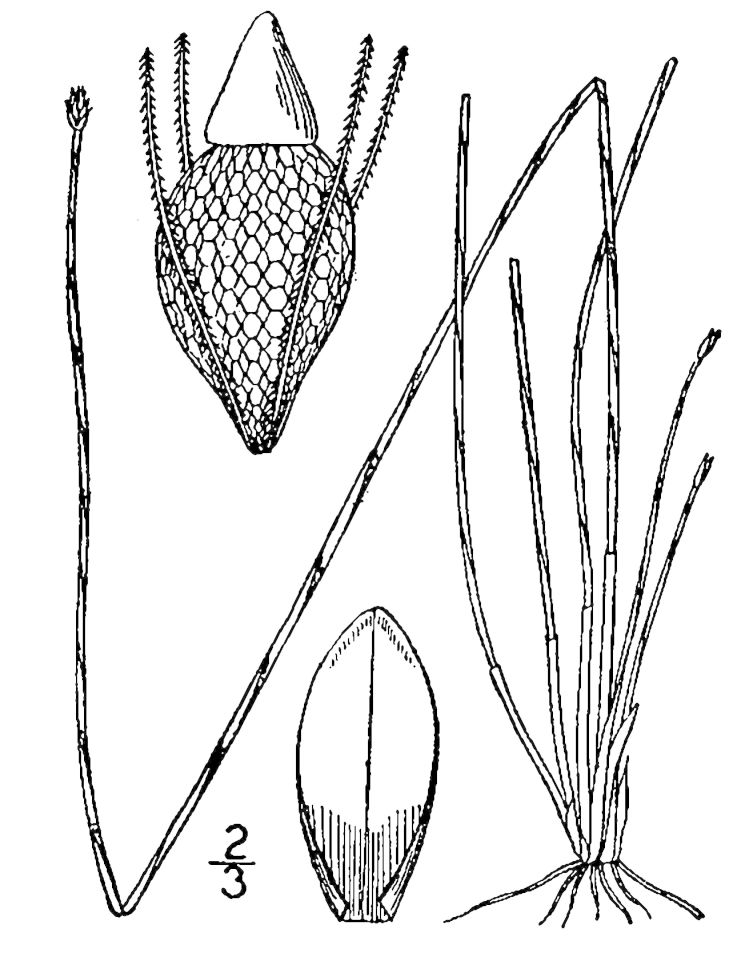 Figure 39d.