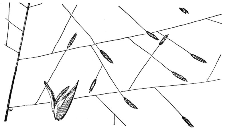 Figure 87a.