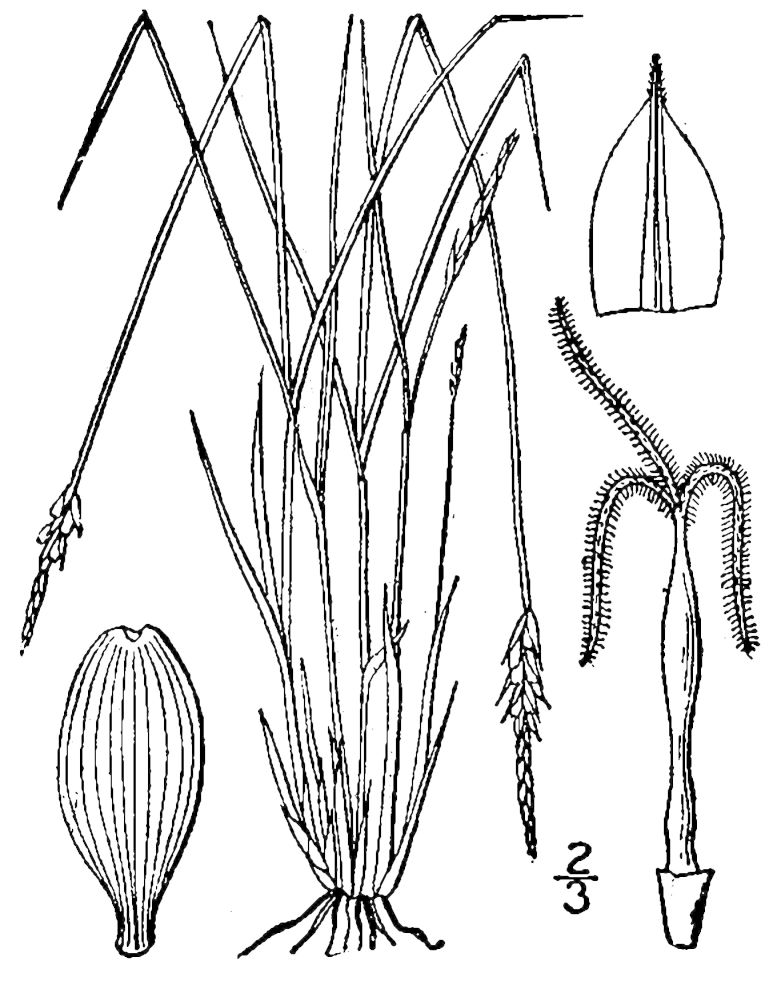 Figure 36c.