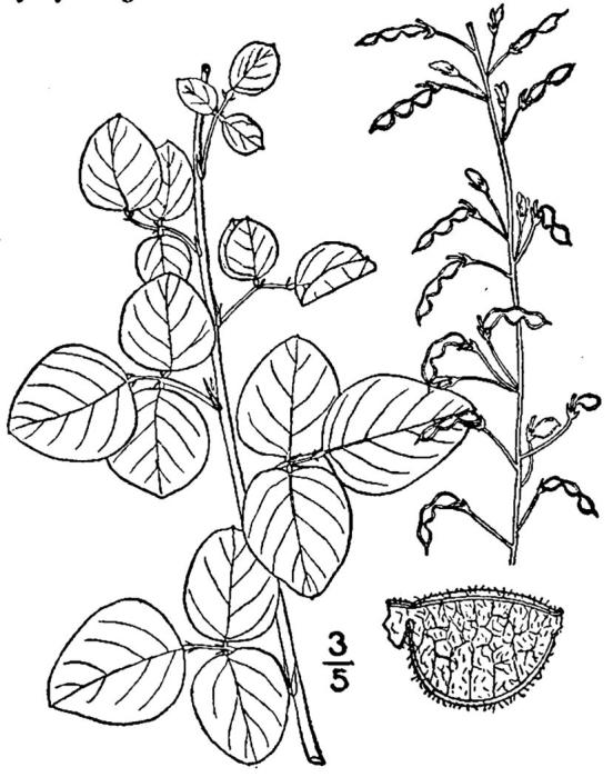 Figure 209a.