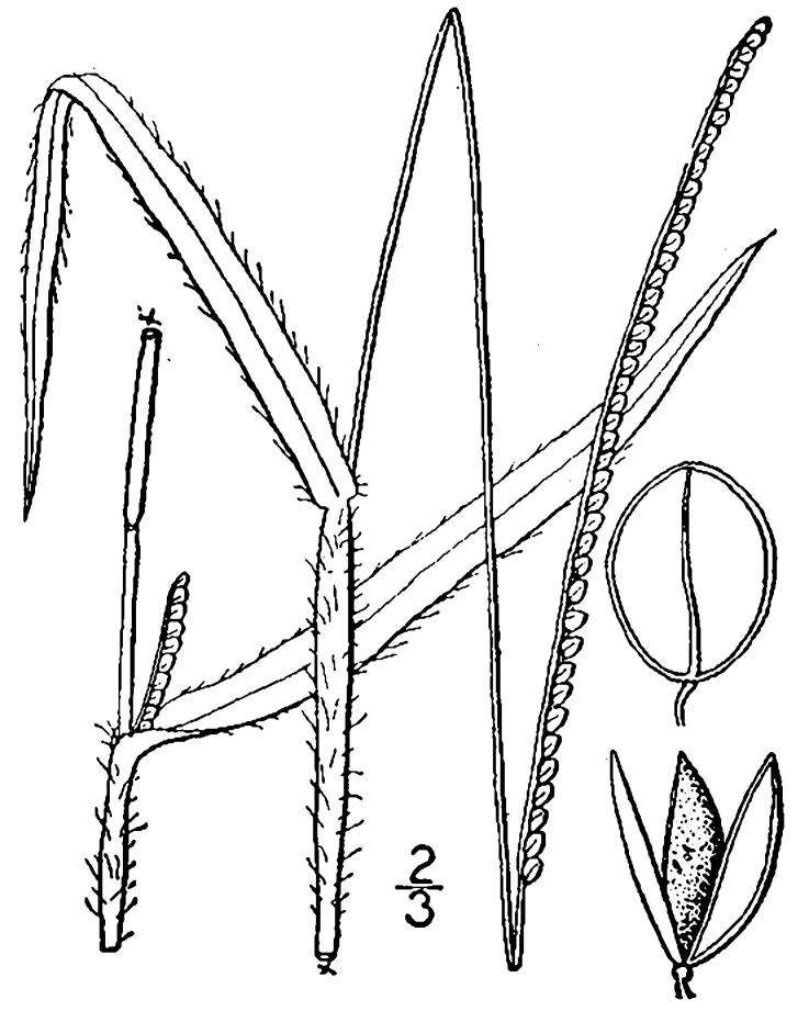 Figure 90d.
