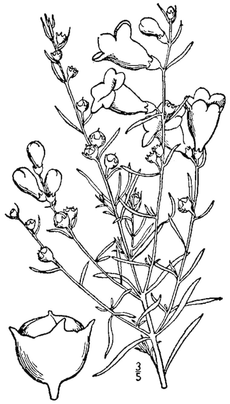 Figure 234a.
