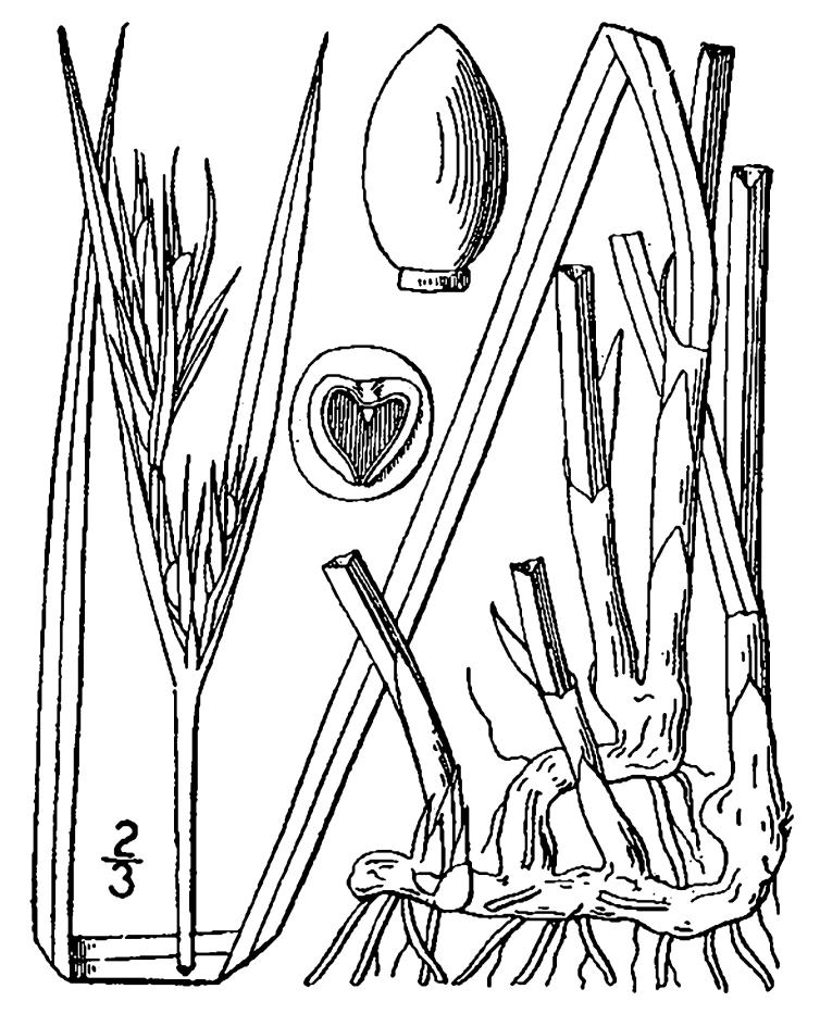Figure 46d.