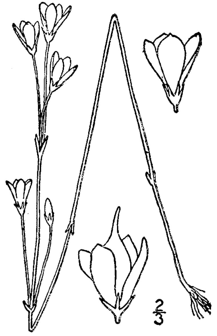 Figure 214a.