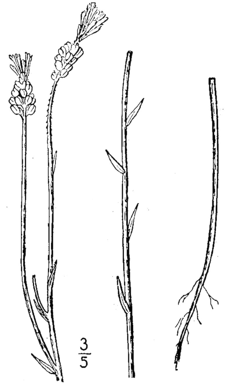 Figure 236e.