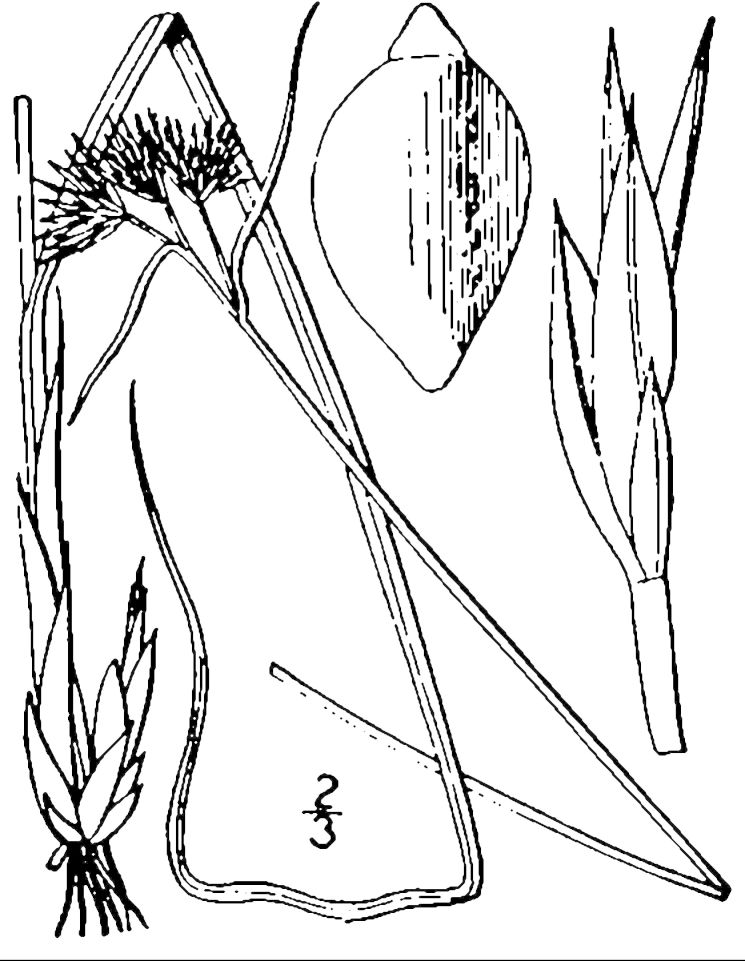 Figure 44d.