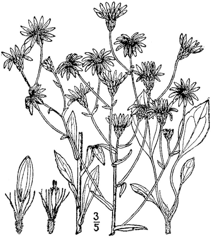 Figure 172a.