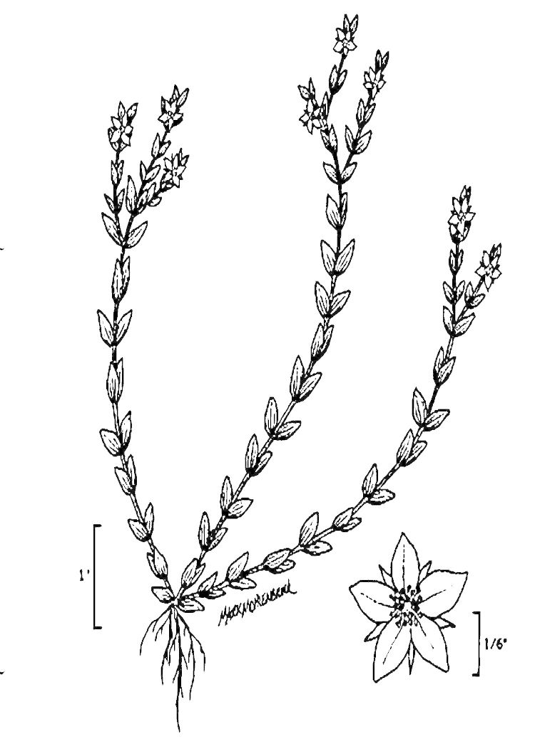 Figure 220a.