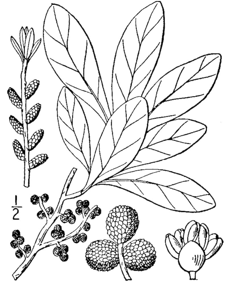 Figure 230a.