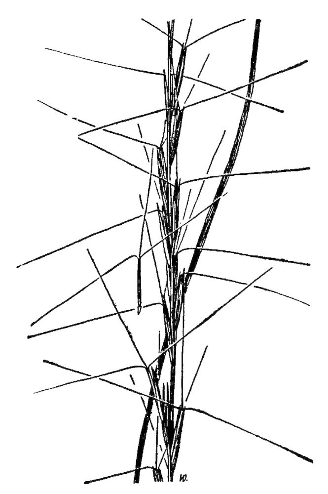 Figure 81a.