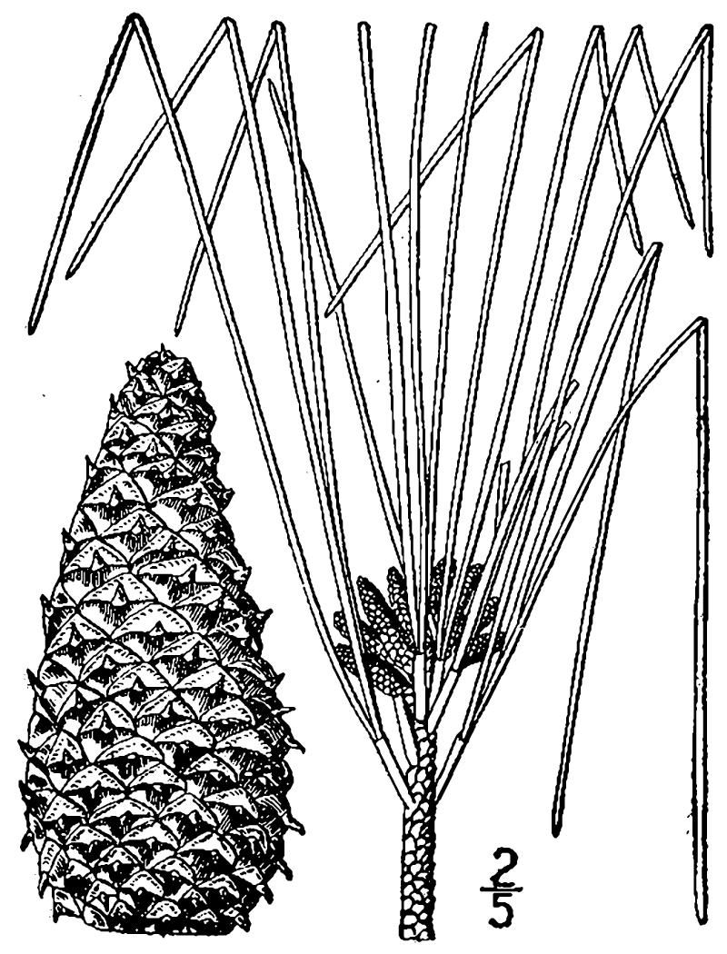 Figure 23e.