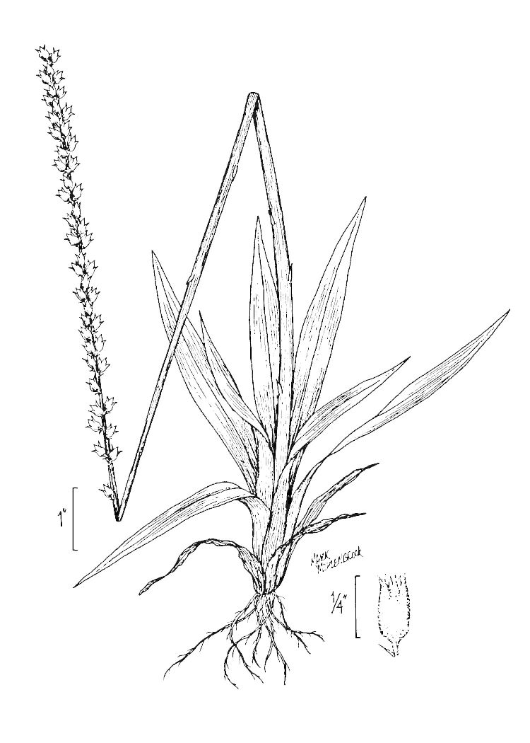 Figure 60a.
