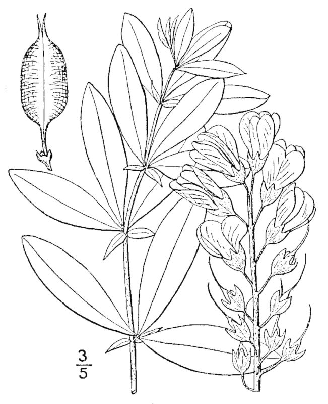 Figure 207a.