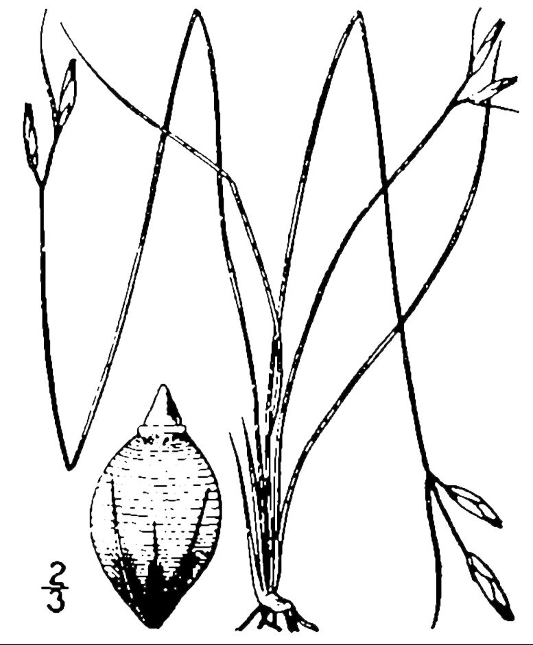 Figure 44c.