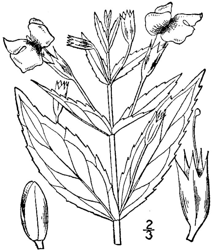 Figure 134.