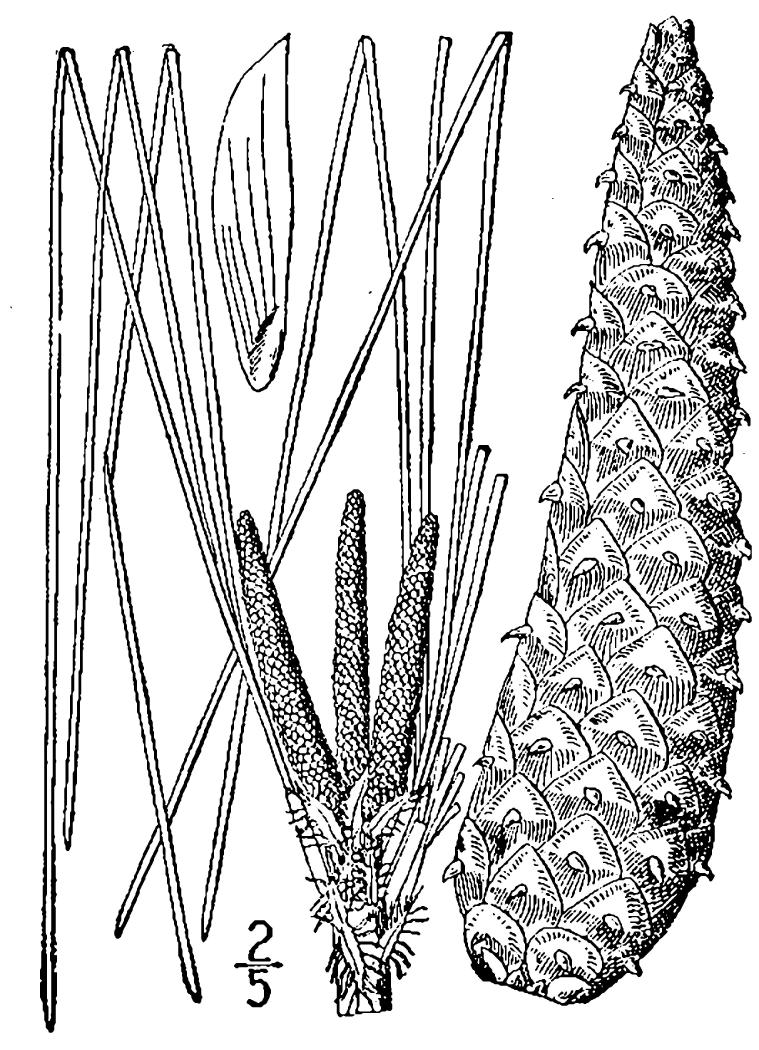 Figure 23a.